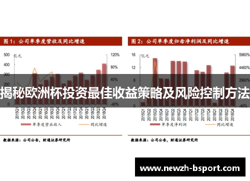 揭秘欧洲杯投资最佳收益策略及风险控制方法