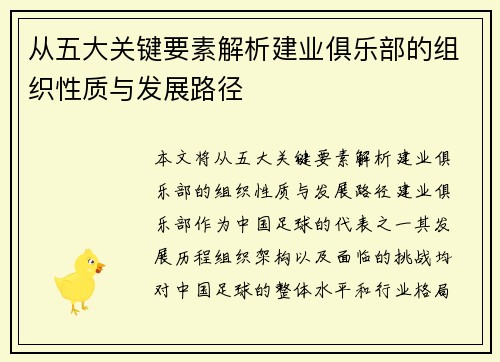 从五大关键要素解析建业俱乐部的组织性质与发展路径